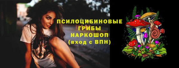 метадон Белокуриха