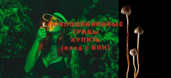 метадон Белокуриха