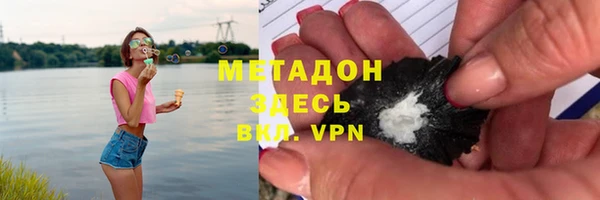 гидра Богородицк