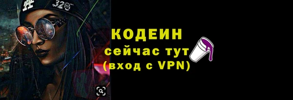 гидра Богородицк