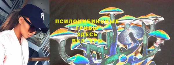 стафф Богданович