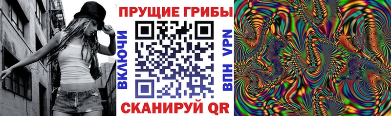 купить  сайты  это наркотические препараты  Псилоцибиновые грибы Magic Shrooms  Мичуринск 